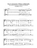 NEW! ToneTutor 201: The Special Melodies